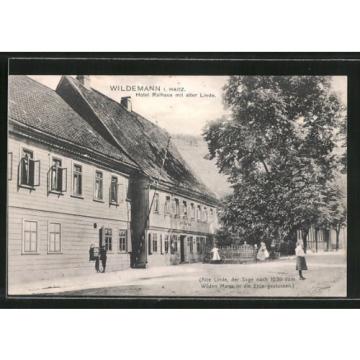 schöne AK Wildemann, Hotel Rathaus mit alter Linde