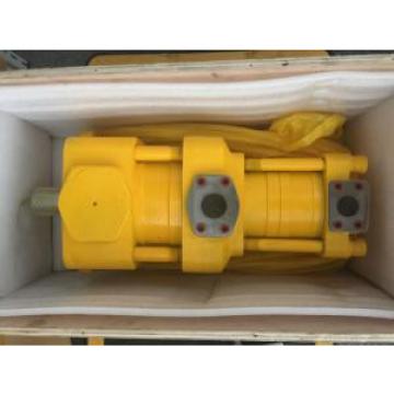 Sumitomo QT2323-8-8-A Double Gear Pump