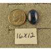 LINDE LINDY 16X12MM 17+  CTW CF BLUE STAR SAPPHIRE CREATED SS LEVERBACK EARRINGS