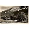 Ramsau Bayern Oberbayern ~1940 Deutsche Alpenstraße Hindenburg-Linde Baum #1 small image