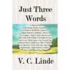 NEW Just Three Words by V.C. Linde Paperback Book (English) Free Shipping #1 small image