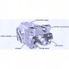 Dansion piston pump Gold cup P7P series P7P-2L1E-9A8-A00-0A0