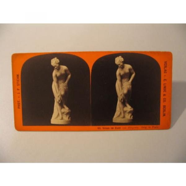 Sculpture Stereoview Photo cdii Stiehm Linde 49 Venus im Bade von Allegrain #1 image