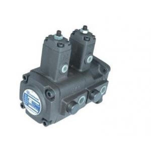 Double variable vane pump VB1B1 Series #1 image