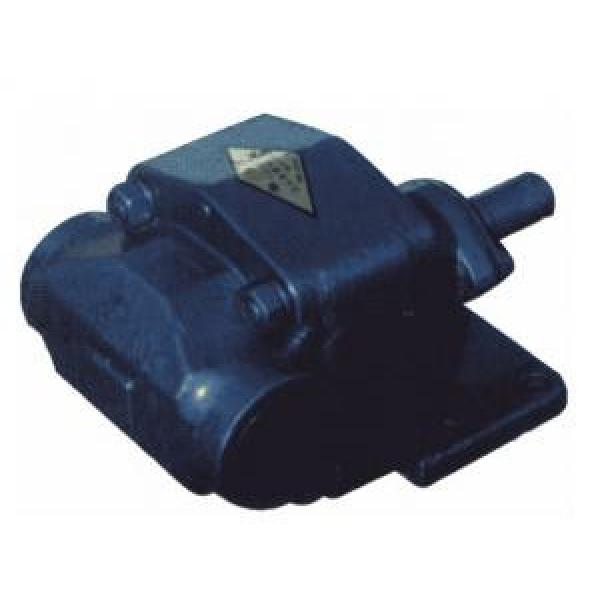 BCB Egypt Series Gear Oil Pump #1 image