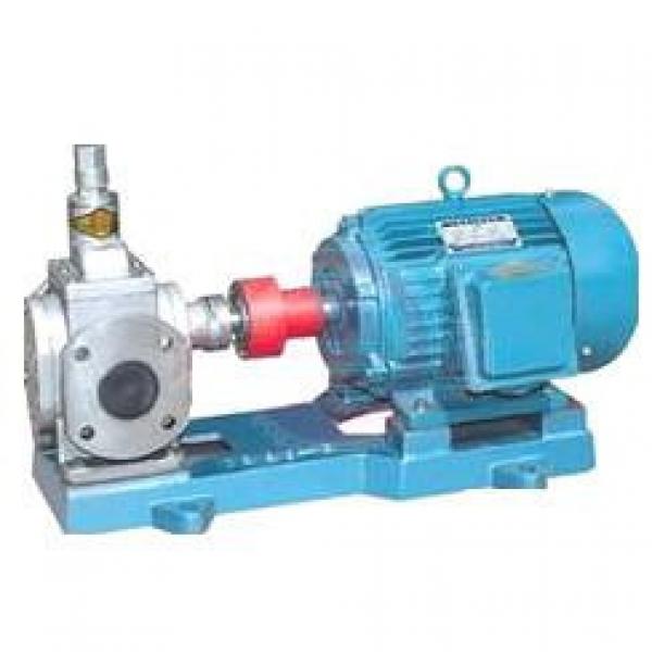 YCB USA Series Arc Gear Pumps #1 image