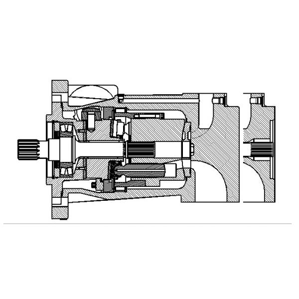 Dansion P080 series pump P080-03R1C-E1K-00 #1 image